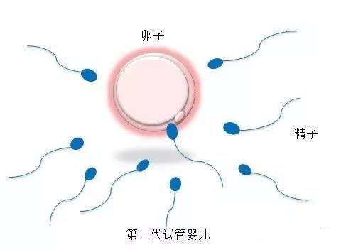 陈医生